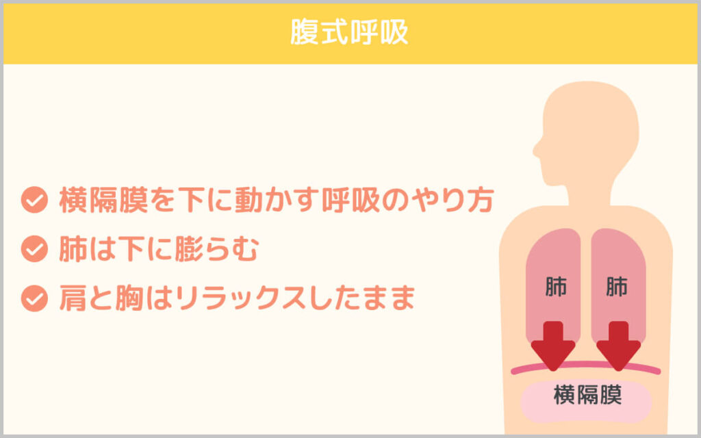 腹式呼吸の説明