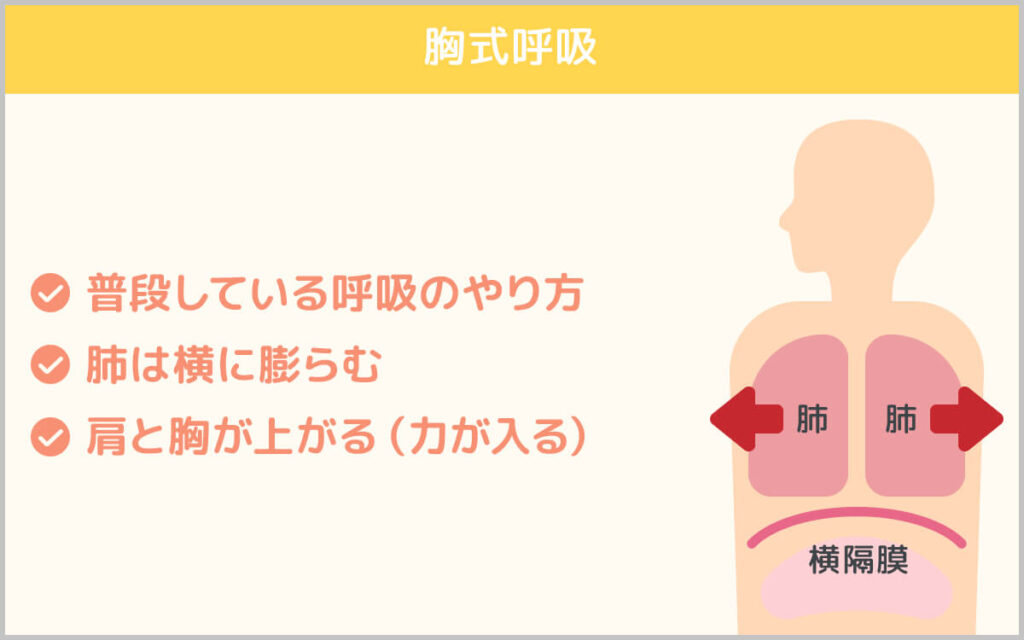 胸式呼吸の説明