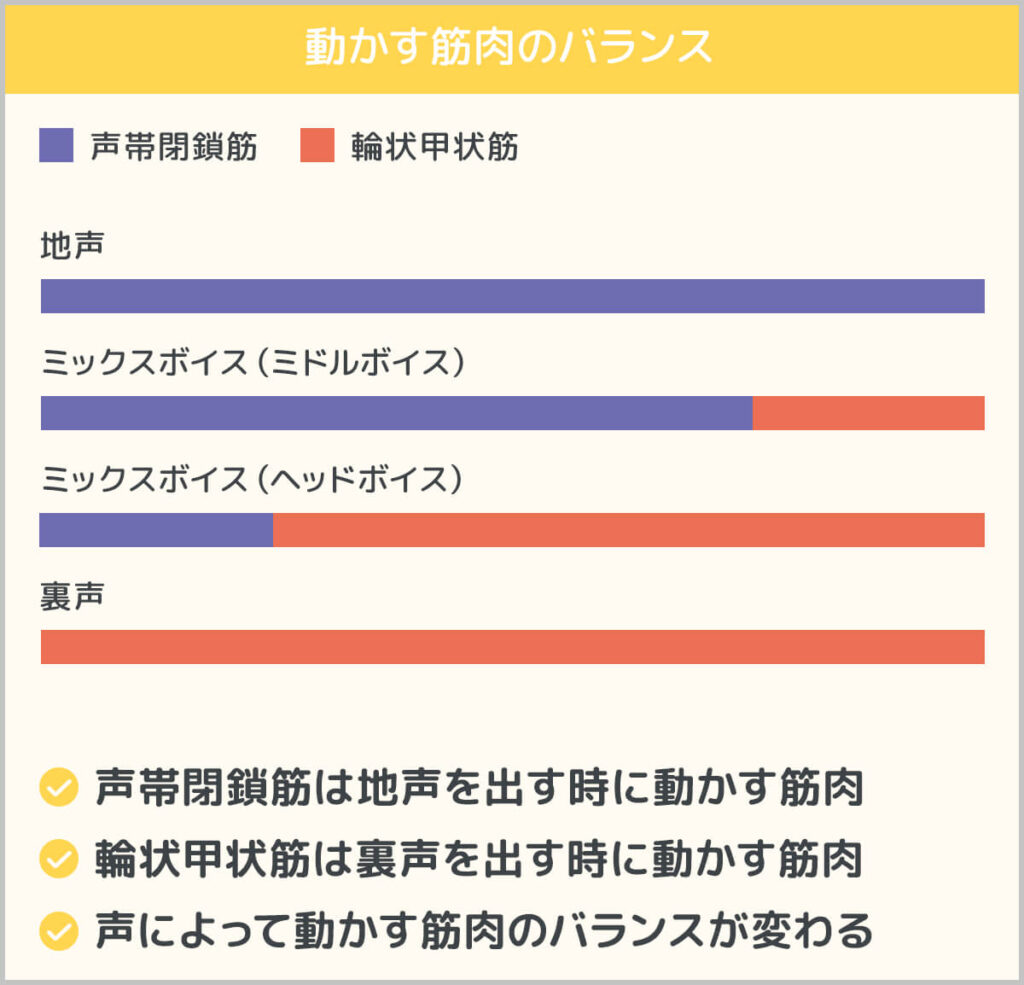 動かす筋肉のバランス